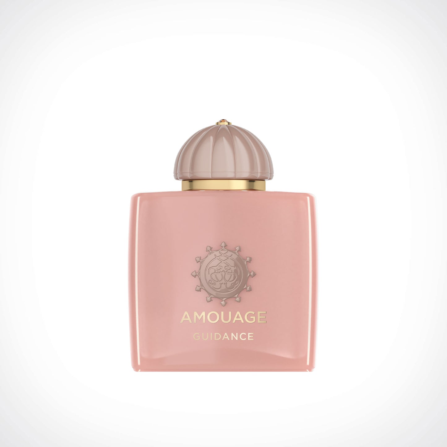 Amouage Guidance