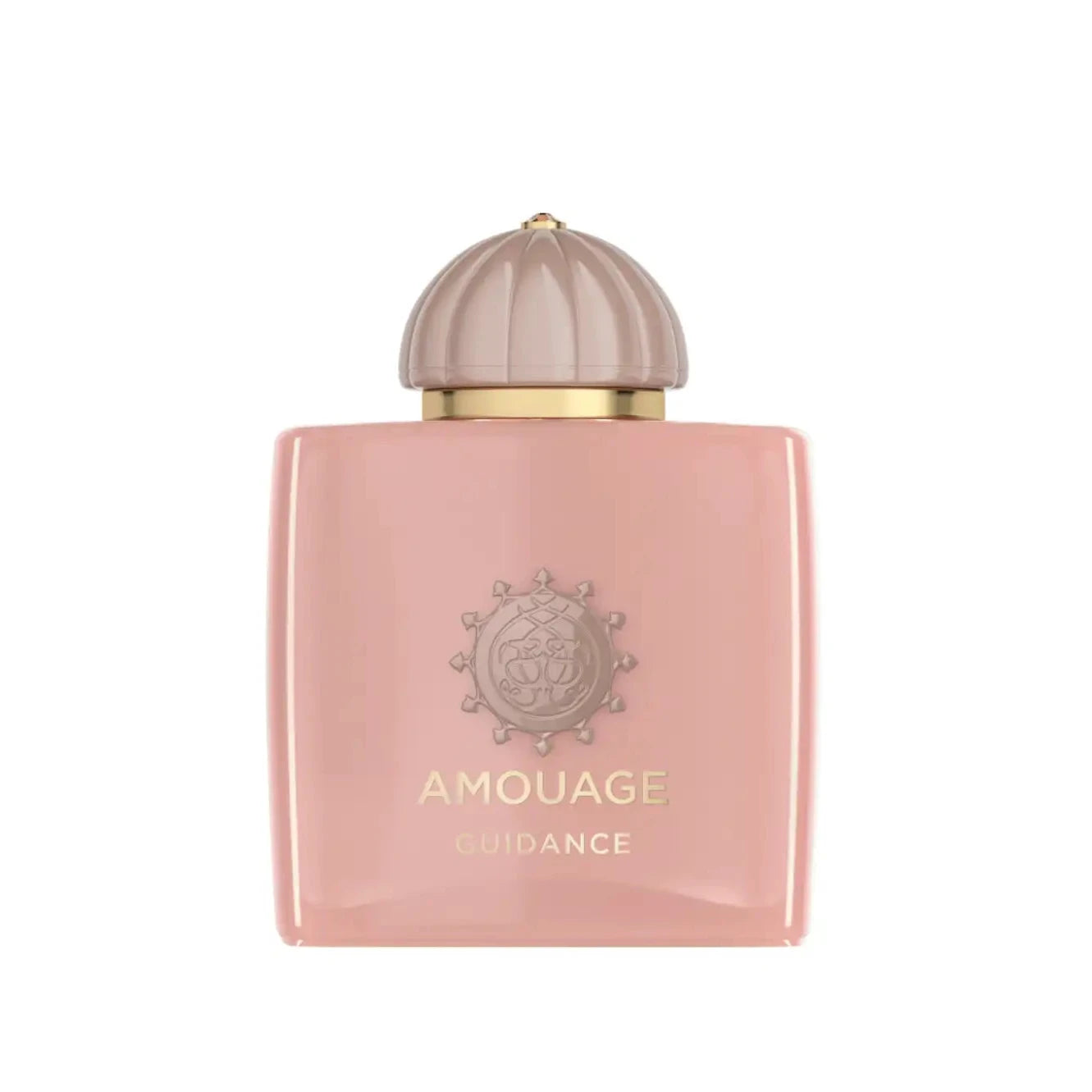 Amouage Guidance