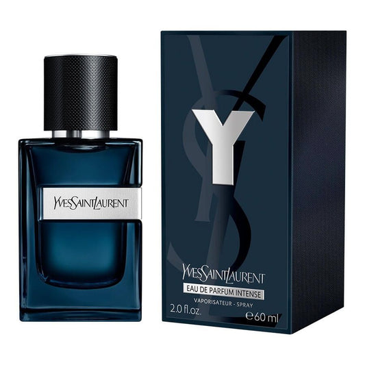 YSL Y intense