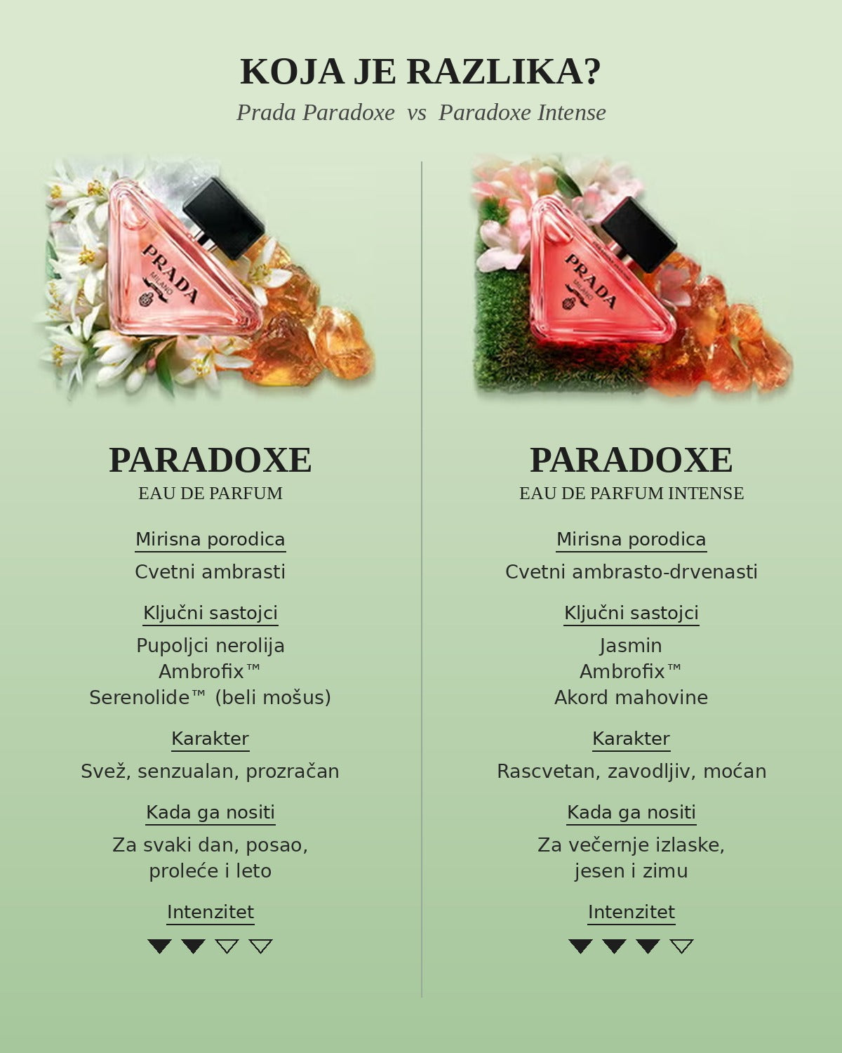 Razlika između Prada Paradoxe i Paradoxe Intense